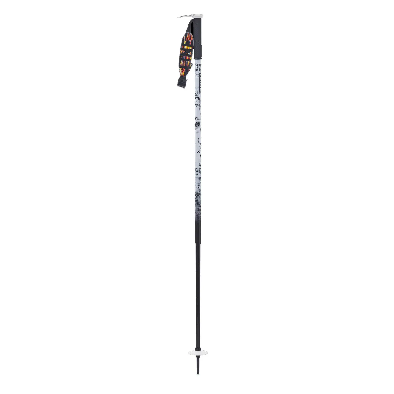 Pin Ski Poles 2025