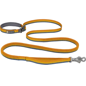 Roamer Bungee Leash