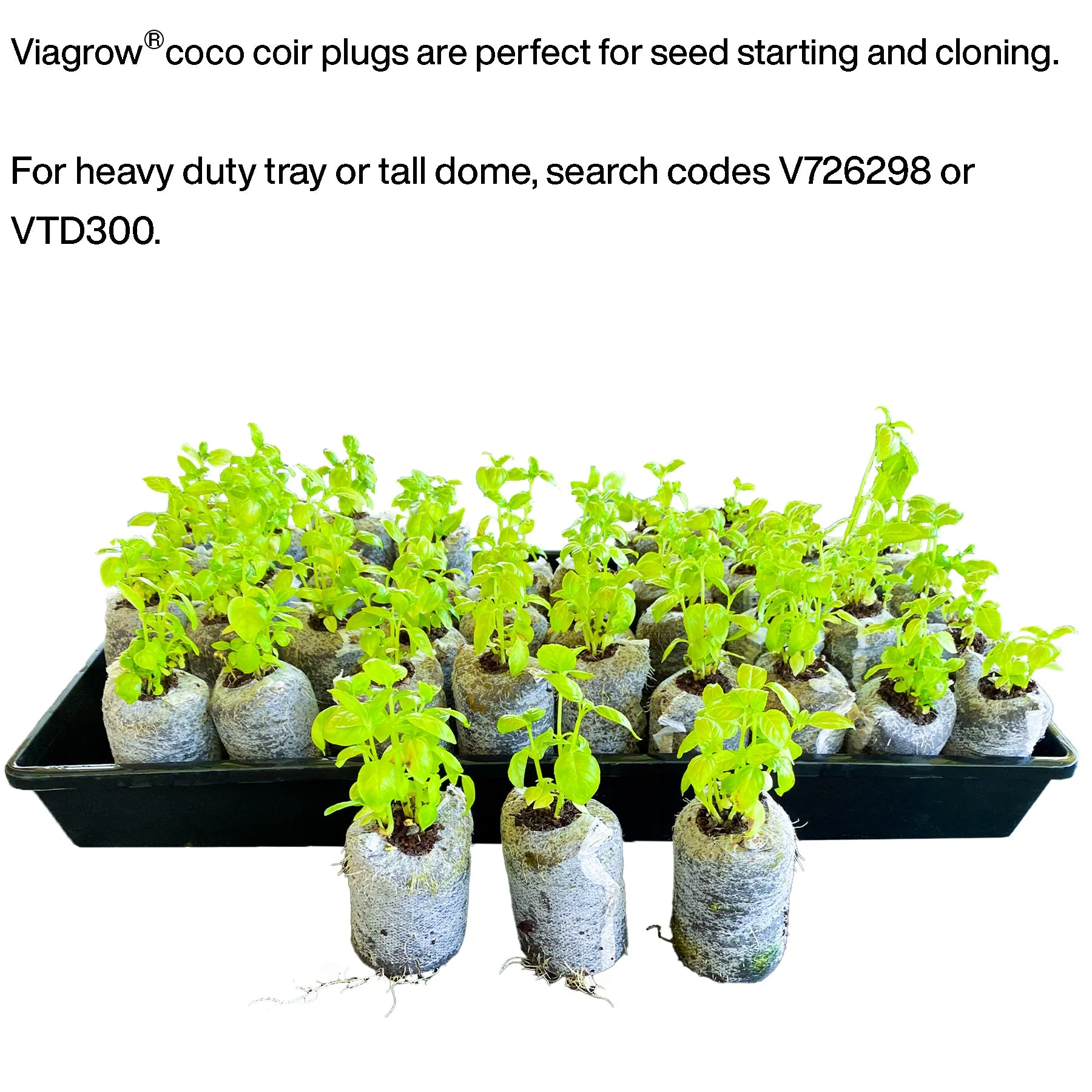 Viagrow Coco Coir Seed Starter Plugs 50 Per Pack, Expandable Coco Discs 50mm (Case of 14)